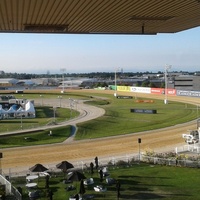 Addington Raceway Rooftop, Christchurch