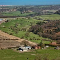 Dalby Forest, Scarborough