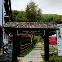 Rockkonzerte in Pestera Muierilor, Baia de Fier Pestera Muierilor, Baia de Fier