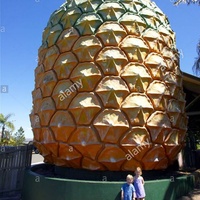 Big Pineapple Fields, Sunshine Coast