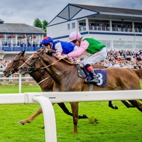 Royal Windsor Racecourse, Windsor