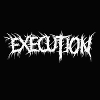 Execution 2025 Execution