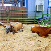 Rockkonzerte in Tillamook County Fairgrounds, Tillamook, OR Tillamook County Fairgrounds, Tillamook, OR