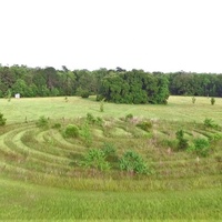 Gryphon's Nest Campground, Springfield, LA