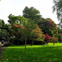 Singleton Park, Swansea