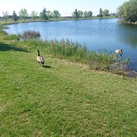 Four Seasons Park, Beaumont