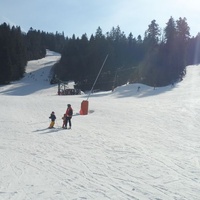 La Mauselaine, Gérardmer