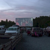 Goochland Drive-In Theater, Hadensville, VA