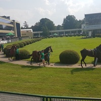 Sluzewiec Racetrack, Warschau