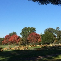 Oak Ridge Park, Clark, NJ