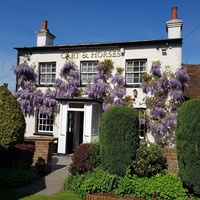 Cart & Horses, London