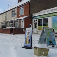 The Pet Tank, Lowestoft