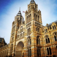 Natural History Museum, London