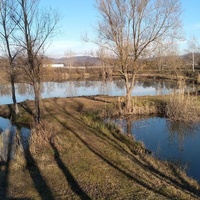 Speedway stadion Petišovci, Petišovci