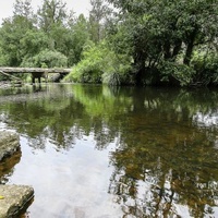 Rockkonzerte in Yabba Creek, Imbil Yabba Creek, Imbil