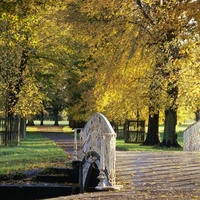 National Trust - Morden Hall Park, London