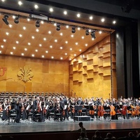 Cavea del Teatro del Maggio Musicale Fiorentino, Florenz