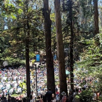 Sigmund Stern Grove, San Francisco, CA