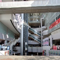 Big Cat, Ōsaka