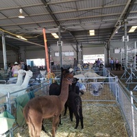 Canberra Showground, Canberra