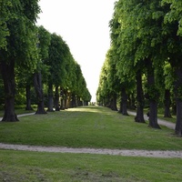 Søndermarken, Kopenhagen