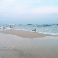 Gulf Shores Public Beach, Gulf Shores, AL