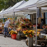 Boulder Farmers Market, Boulder, CO