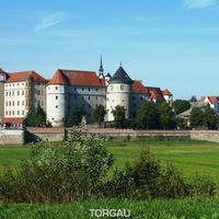 Torgau