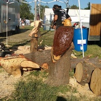 Macon County Fairgrounds, Decatur, IL