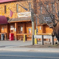 Koot's, Anchorage, AK