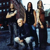 Disturbed