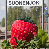 Suonenjoki central field, Suonenjoki