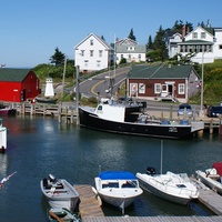 Harbor, Rørvik