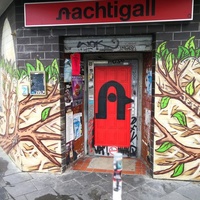 Nachtigall, Köln