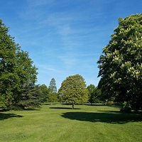 Cheam Park, Cheam