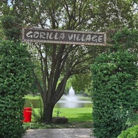 Gorilla Village, Pittsburg, KS