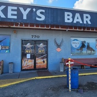 Mickeys Bar, Crystal River, FL