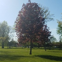 Halmich Park, Warren, MI