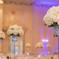 Rockkonzerte in Chateau Le Jardin Event Venue, Vaughan Chateau Le Jardin Event Venue, Vaughan