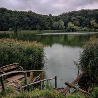 Holosiivskyi National Natural Park, Kiew