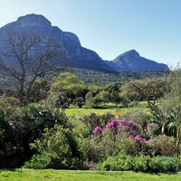 Kirstenbosch National Botanical Garden, Kapstadt