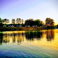 Counce, TN