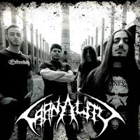 Carnality