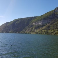 Oyonnax