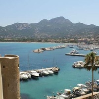 Calvi