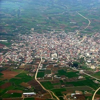 Nigrita