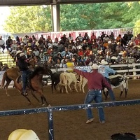 Georgia International Horse Park, Conyers, GA