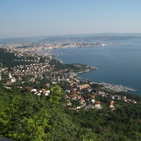 Opicina
