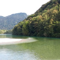 Sotočje, Tolmin