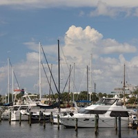 Downtown, Saint Petersburg, FL